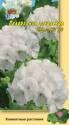 Пеларгония Белая F1 зональная УУ
