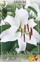Лилия Каса Бланка 16/+ 3 шт