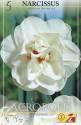 Нарцисс Акрополис махровый 5 шт 12-14