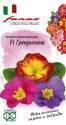 Примула Грандиссима смесь серия Фарао F1 Гав