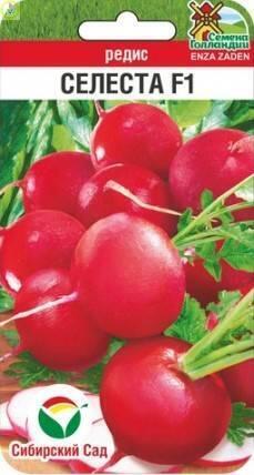 Редис Селеста F1 СС