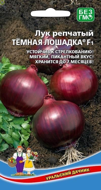 Лук репчатый Темная Лошадка F1 УД