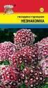 Гвоздика турецкая Незнакомка УУ