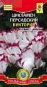 Цикламен Виктория Плз
