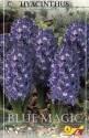 Гиацинт Блю Мейджик 5 шт 16/17