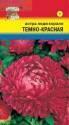 Астра Леди корал темно-красная УУ