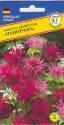 Монарда Панорама двойч. Прес