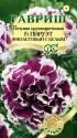 Петуния Пируэт фиолетовый с белым F1 махровая Гав