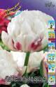 Тюльпан Айс Уандер 10 шт