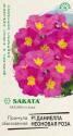 Примула Даниелла неоновая роза F1 Саката Гав