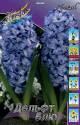Гиацинт Дельфт Блю 5 шт