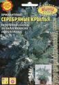 Хризантема Серебряные крылья БП Аэл