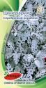 Цинерария Серебряный кораблик ПС