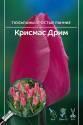 Тюльпан Крисмас Дрим простые ранние 7 шт 11/12