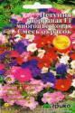 Петуния Гибридная многоцветковая смесь Агр