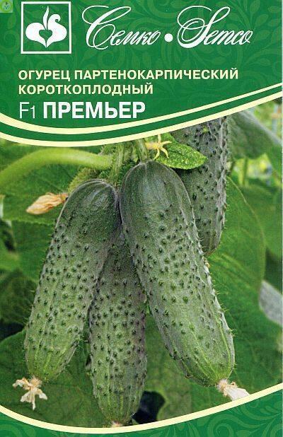Огурец Премьер F1 Сем