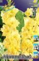 Гладиолус Монинг Голд 12/14 100 шт