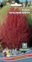 Кохия Красный Барон УД