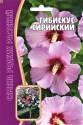 Гибискус Сирийский Реш