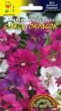 Кларкия Хорошенькая смесь окрасок ЦС
