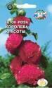 Шток-роза Королева красоты Сед