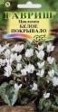 Цикламен Белое покрывало Гав