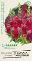 Антирринум Соната пунцовая серия Элитная клумба F1 Гав