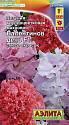Петуния Валентинов день F1 Аэл