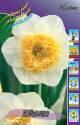 Нарцисс Кёрли 5 шт