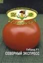 Томат Северный Экспресс F1 Иль