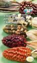 Кукуруза декоративная Самоцвет Сед