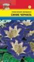 Глоксиния Импресс синие чернила F1 УУ