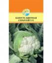 Капуста цветная Старгейт F1 Акв