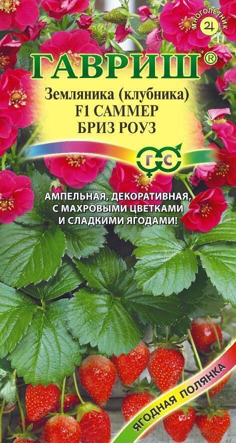 Земляника Саммер Бриз Роуз F1 пробирка Гав