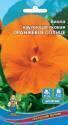 Виола Оранжевое солнце УД
