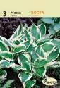 Хоста Патриот 3 шт