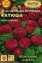Астра Внученька Катюша карликовая Аэл