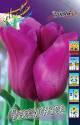 Тюльпан Пассионале 10 шт