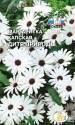 Маргаритка Дитя природы капская (остеоспермум) Сед