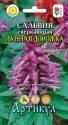 Сальвия Лунная дорожка сверкающая Арт