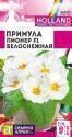 Примула Пионер Белоснежная СА