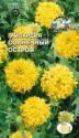 Гайлардия Солнечный остров кремово-белая Сед