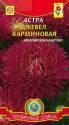 Астра Джевел карминовая Плз