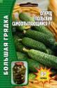 Огурец Польский самоопыляющийся Реш