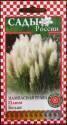 Пампасная трава Плюм белая СиО