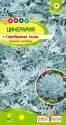 Цинерария Серебряная пыль СА