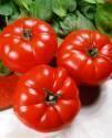 Помидоры Особые F1 СиО