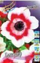 Анемона Биколор 10 шт