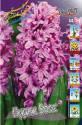 Гиацинт Пурпл Воис 5 шт