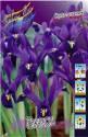 Ирис Пикси 10 шт
